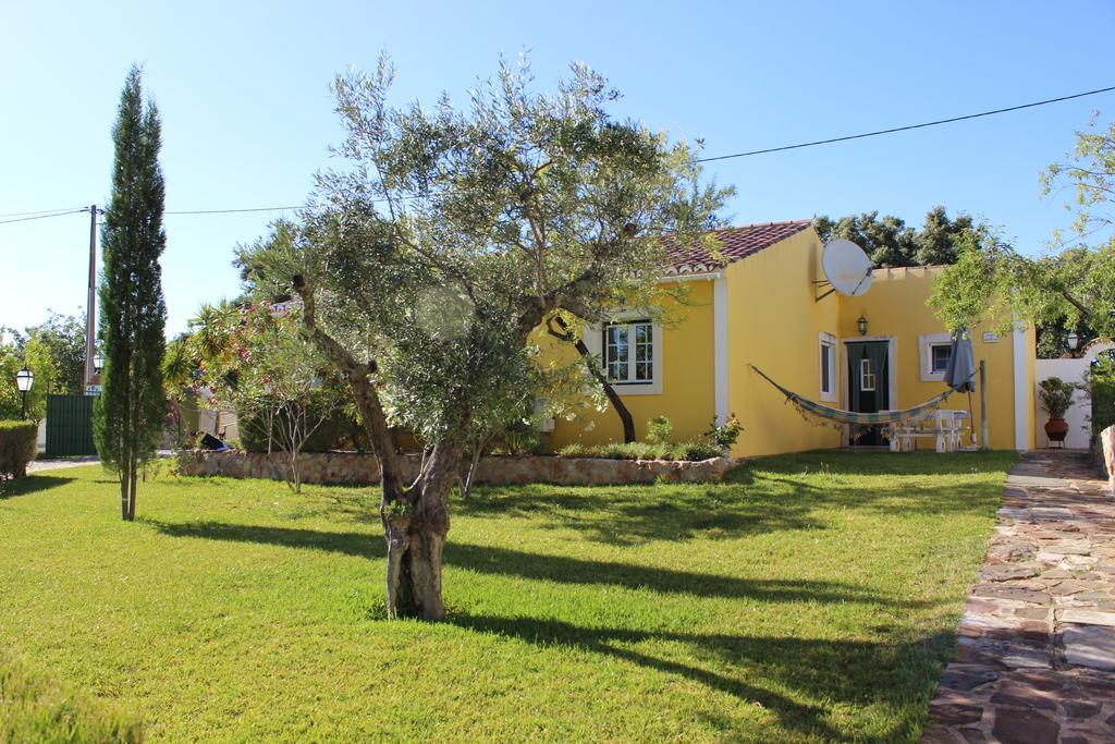 Monte Dos Avós